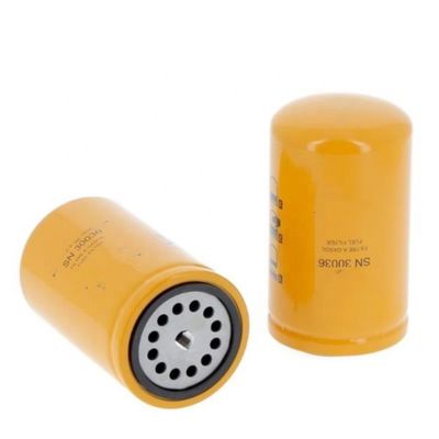 Filtre à carburant P502504 525517D1 3460523 5300560 BHC5055 1000012854 747351 4226599M1 2081071 EN1015