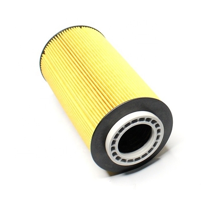 2151728 2234788 HU12009 LF16368 P40069 Filtre pour le système de filtration de l'huile du moteur du camion