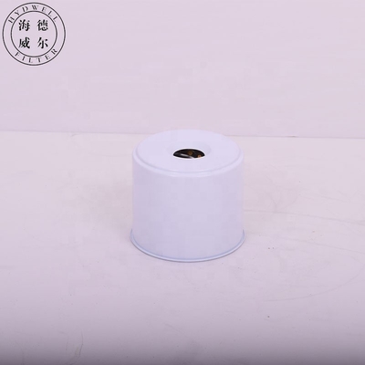 26561117 Élément de filtre à carburant 70251397 P556245 1596257M91 L01909100 1879513 pour le camion