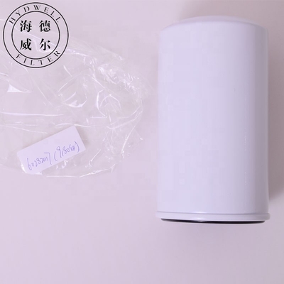Filtre de séparateur d'eau de carburant pour moteur diesel pour camions partie 60282117 avec numéro de pièce R011619