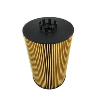 P550820 Pièces de moteur hydraulique élément de filtre de lubrifiant 11110427 51055040107 20998807 2596171C91