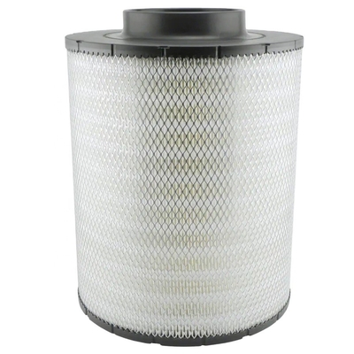 Filtre d'air pour moteur B125003 PA2821 Ah19042 Ecb105012 pour Hydwell