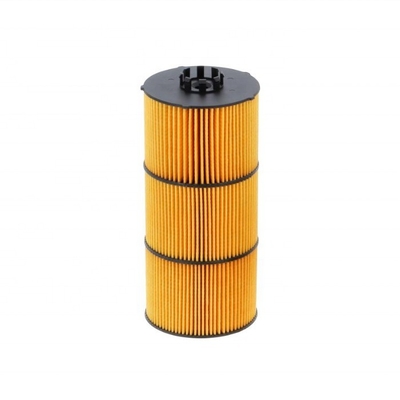 Filtre à huile pour automobile 4721841125 4721841025 Hu12001z Lf17511 Lp5090 A4721800509 pour Jaguar 880