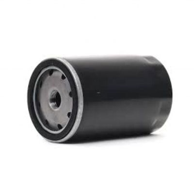 30% de T/T en avance pour les éléments de filtre à carburant OEM 5000814227 11706667 14213939 1708684