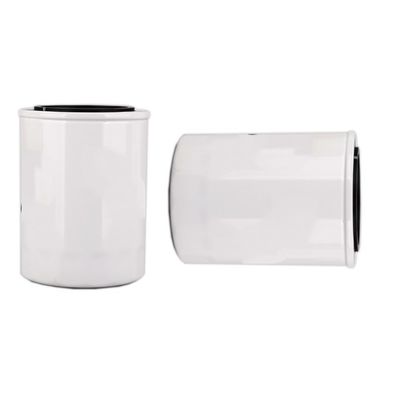 1000395855 WB202G Filtre à huile pour moteur diesel à l'intérieur de Hydwell