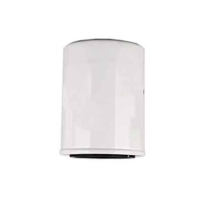 1000395855 WB202G Filtre à huile pour moteur diesel à l'intérieur de Hydwell