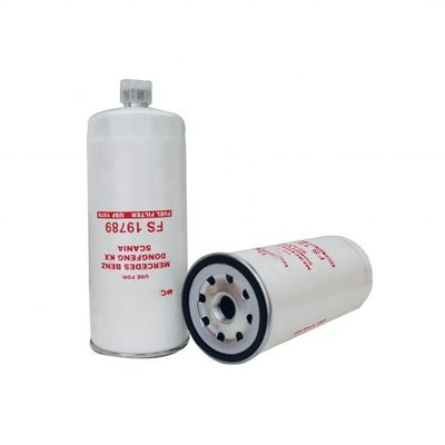 Filtre à carburant Fs19789 pour 1994-1996 Année VF1233 OE NO. par Hydwell