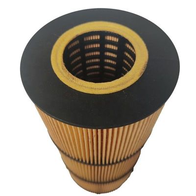 Filtre à huile pour moteur diesel P7505 LF17511 LF673 E510H07D129 avec papier filtre et fer