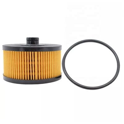 152095084R Hydwell pièces moteur de camion élément de filtre à huile de lubrifiant pour autres tracteurs d'année