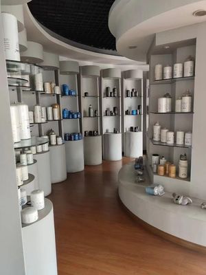 3307454S PF10 FF246 P550674 3I2017 AT10213 Élément de filtre à carburant B10-AL pour camions et tracteurs