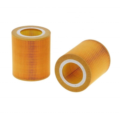 Hydwell AF26419 C1250 SA6931 TGA6053 1613872000 PA30015 Filtre à air Matériau en fer