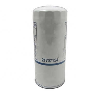21707134 Pièces détachées de moteur automobile Filtre à huile P550519 P550519 873 3A11555 VOE4666343 1216400551 GM25504