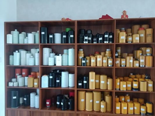 Filtre à carburant pour véhicule à roues