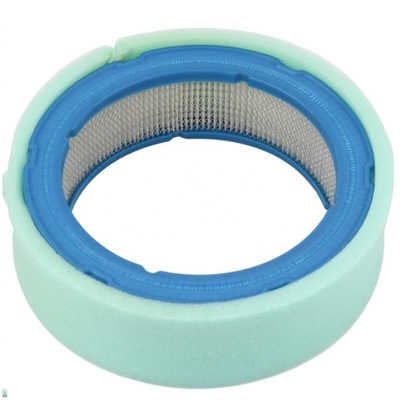 Élément de filtre à air pour camions pour P530628 3I1779 LG394018 27151001 394018 Remplacer/réparer