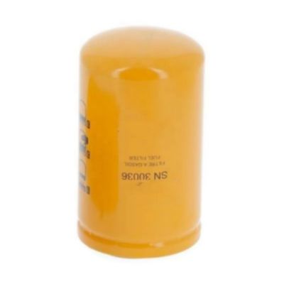 Filtre à carburant P502504 525517D1 3460523 5300560 BHC5055 1000012854 747351 4226599M1 2081071 EN1015