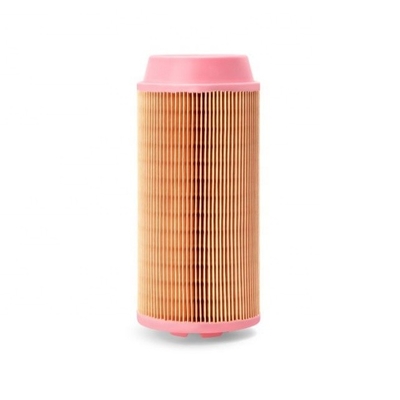 Filtre à cartouche AV238 AF26386 6211455100 P778979 AF26387 2914930000 EPC046519 1319141