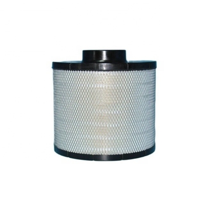 Filtre à air 21398815 pour Hydwell Autres équipements automobiles B100094 et 04229648