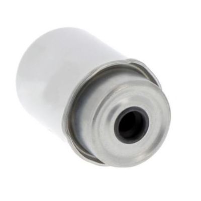 Élément de filtre à carburant P551434 5198956 320A7124 RE526319 12750603 pour le camion FS551434