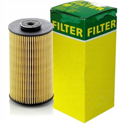 Filtre à carburant à alimentation directe P811 P550861 3I1212 65125035004 7238513 122209 pour les excavatrices