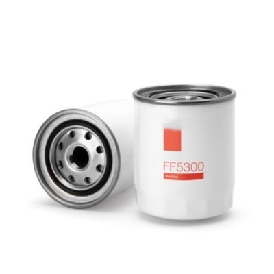 Élément de filtre à carburant FF5300 33394 6050134 BF1110 P502143 avec une performance supérieure