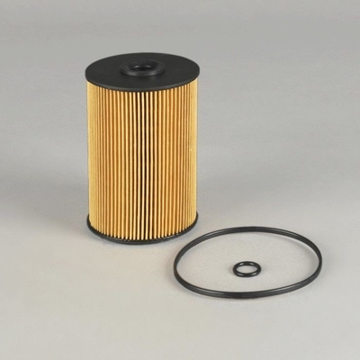 Autres équipements automobiles EF-1301 Filtre à carburant FF5733 B222100000701 EF-1301