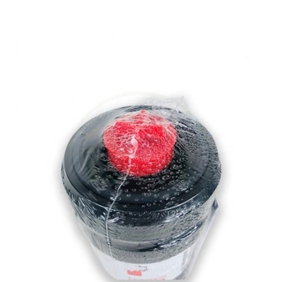 Élément de filtre à carburant de nouvelle conception FF63009 5303743 FS43257 pour pièces de moteur de pelleteuse
